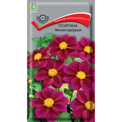 ������ ������ �������� ������ ���������   ����