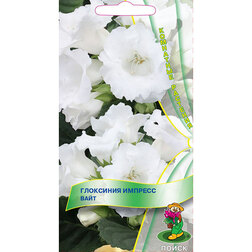 ������ ������ ��������� ������� ����   ����