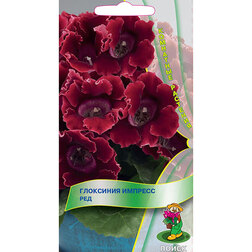 ������ ������ ��������� ������� ���   ����