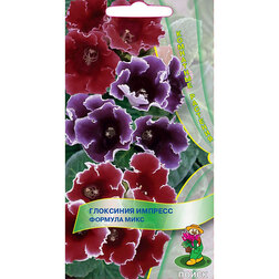 ������ ������ ��������� ������� ������� ����   ����