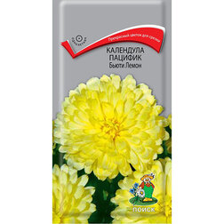 ������ ������ ��������� ������� ����� �����   ����