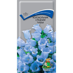 ������ ������ ����������� ������� �������   ����