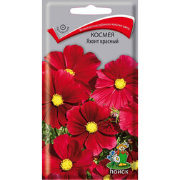 ������ ������ ������ ����� �������   ����