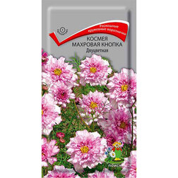 ������ ������ ������ �������� ������ ����������   ����