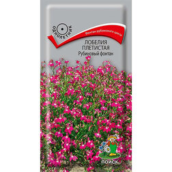 ������ ������ ������� ��������� ��������� ������   ����