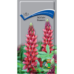 ������ ������ ����� ��������   ����