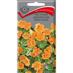 ������ ������ ��������� ����������� ������ �������   ����