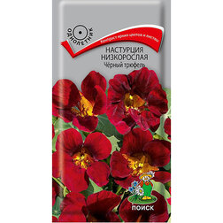 ������ ������ ��������� ����������� ׸���� �������   ����