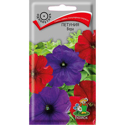 ������ ������ ������� ����   ����