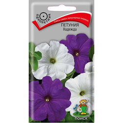 ������ ������ ������� �������   ����