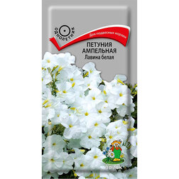 ������ ������ ������� ��������� ������ �����   ����