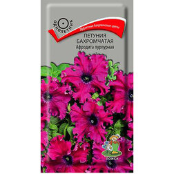 ������ ������ ������� ����������� �������� ���������   ����