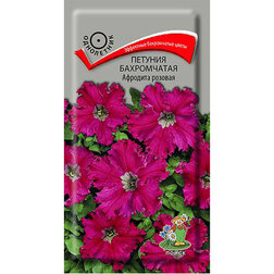 ������ ������ ������� ����������� �������� �������   ����