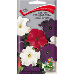 ������ ������ ������� ����������� ����� �������   ����