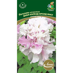 ������ ������ ������� �������� ���� ������ ����� ����   ����