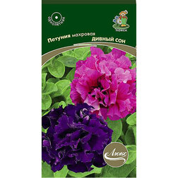 ������ ������ ������� �������� ������ ���   ����