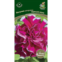 ������ ������ ������� �������� ������� ����   ����