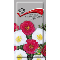 ������ ������ �������� ��������������� �������   ����