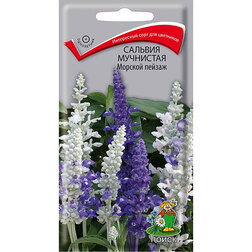 ������ ������ ������� ��������� ������� ������   ����