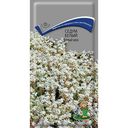 ������ ������ ����� ����� ����� ���   ����