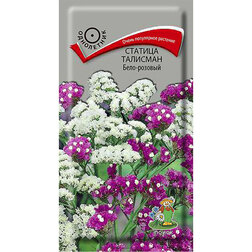 ������ ������ ������� �������� ����-�������   ����