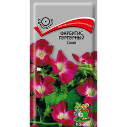 ������ ������ �������� ��������� �����   ����