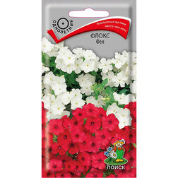 ������ ������ ����� ���   ����