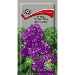 ������ ������ ����� ��������� ������ �������   ����