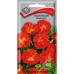 ������ ������ ��������� ����� ����   ����