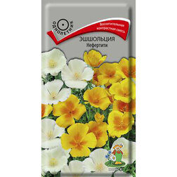 ������ ������ ��������� ��������� (���� ������. �� ����� 2024 �)   ����