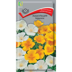 ������ ������ ��������� ���������   ����