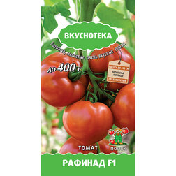 ������ ������ ����� ������� F1 (����������)   ����