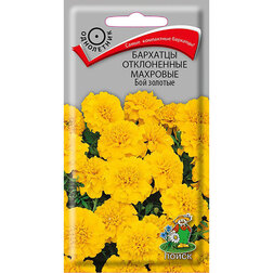 ������ ������ �������� ����������� �������� ��� �������   ����