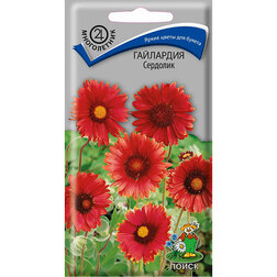 ������ ������ ��������� ��������   ����