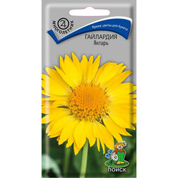 ������ ������ ��������� ������   ����