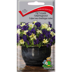 ������ ������ ������� ��������� ��������� �������� ����   ����