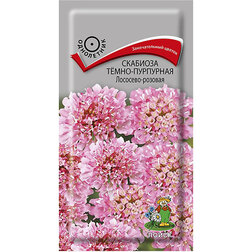 ������ ������ �������� ����-��������� ��������-�������   ����