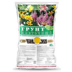 ������ ������ ����� ��������� �� ������ ����. ���� (40�.)   ����