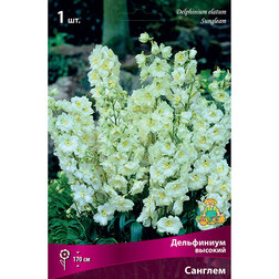 ������ ������ ���������� ������� �������   ����