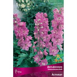 ������ ������ ���������� ������������� �������   ����