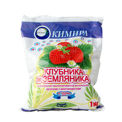 ������ ������ ������ �������� � ����-�� (1��.)   ����