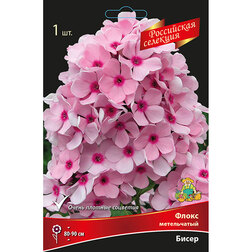 ������ ������ ����� ����������� �����   ����