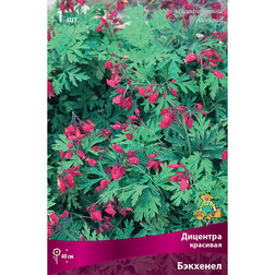 ������ ������ �������� �������� ��������   ����