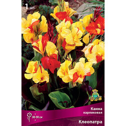 ������ ������ ����� ���������� ���������   ����