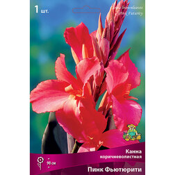 ������ ������ ����� ���������������� ���� ���������   ����