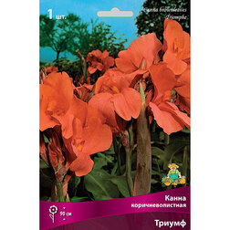 ������ ������ ����� ���������������� ������   ����