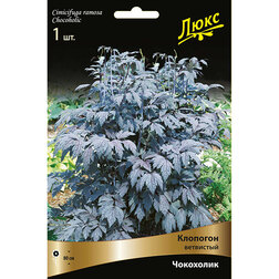 ������ ������ �������� ��������� ���������   ����