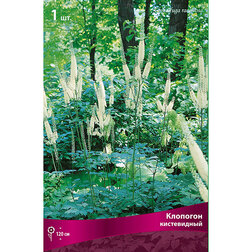 ������ ������ �������� �����������   ����