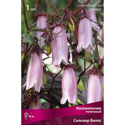 ������ ������ ����������� �������� ������� �����   ����