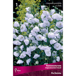 ������ ������ ����������� �������������� �� �����   ����